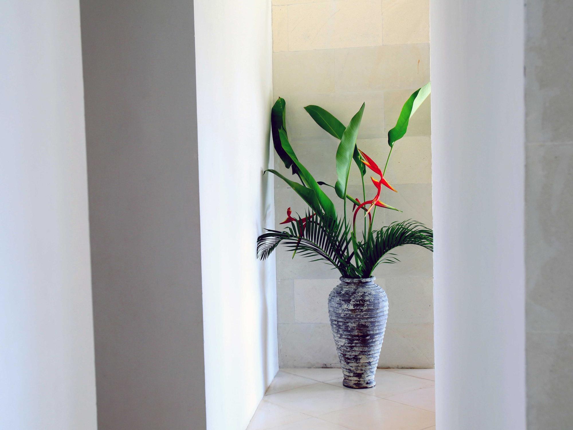 Jeda Villa Modern Stylish Luxury Villa Pemuteran Eksteriør billede
